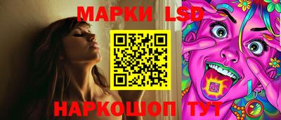 спиды Камышлов