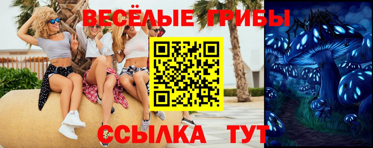 Галлюциногенные грибы Psilocybine cubensis  купить наркотики сайты  Волхов  Вход с VPN 
